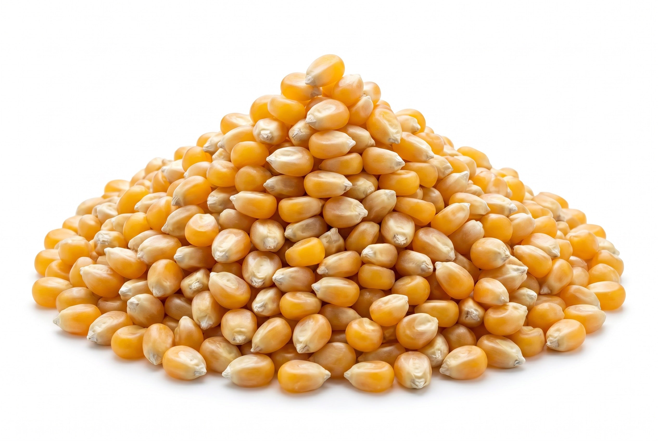 Pop Corn Mısır - 2