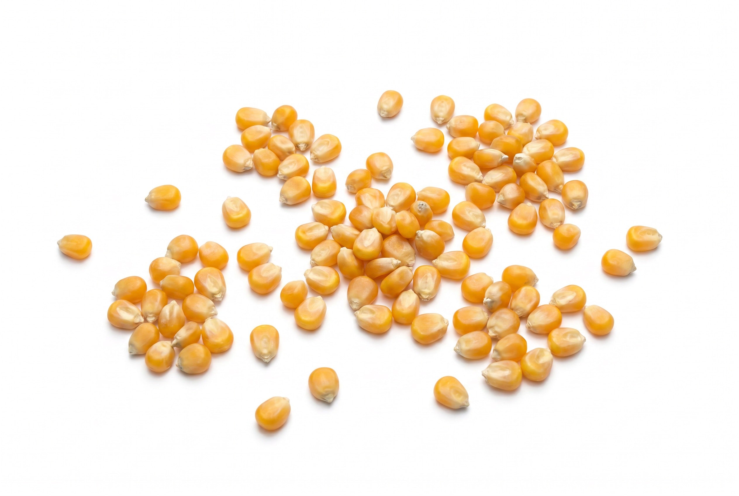 Pop Corn Mısır - 3